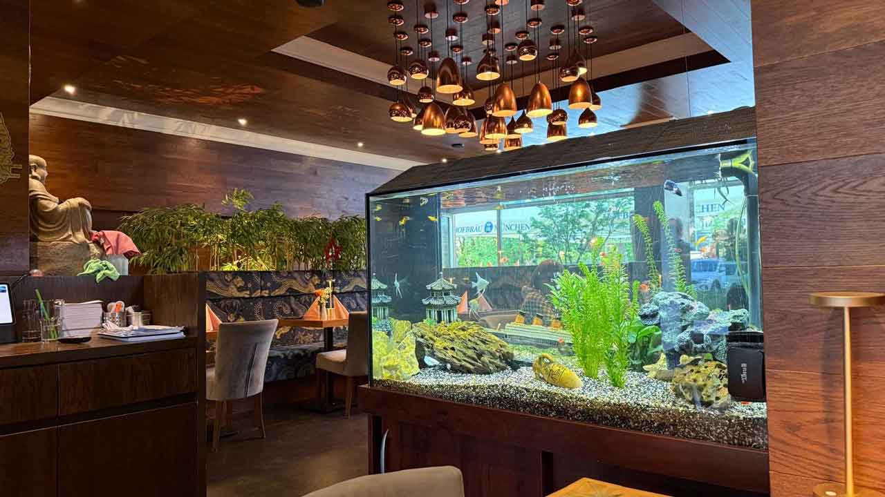 Großes Aquarium im VietRoyal Baldham mit Pflanzen, warmem Licht und Restaurantatmosphäre