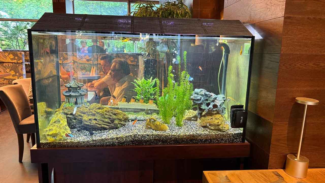 Großes Aquarium im VietRoyal Baldham als Blickfang im Restaurant